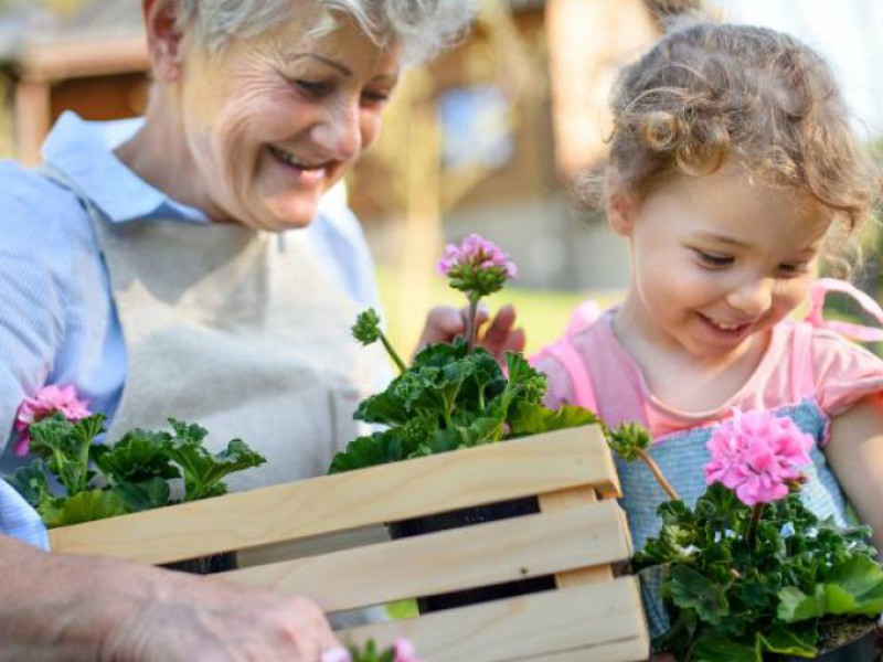 une grand-mère et sa petite fille en train de planter des fleurs dans le jardin