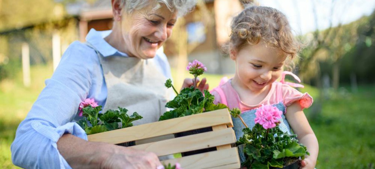 une grand-mère et sa petite fille en train de planter des fleurs dans le jardin