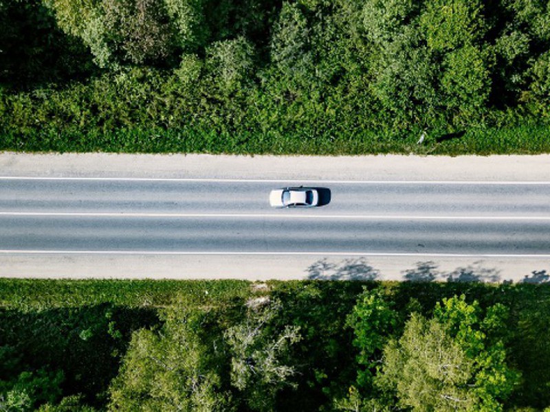 Une voiture roule au milieu d'une forêt