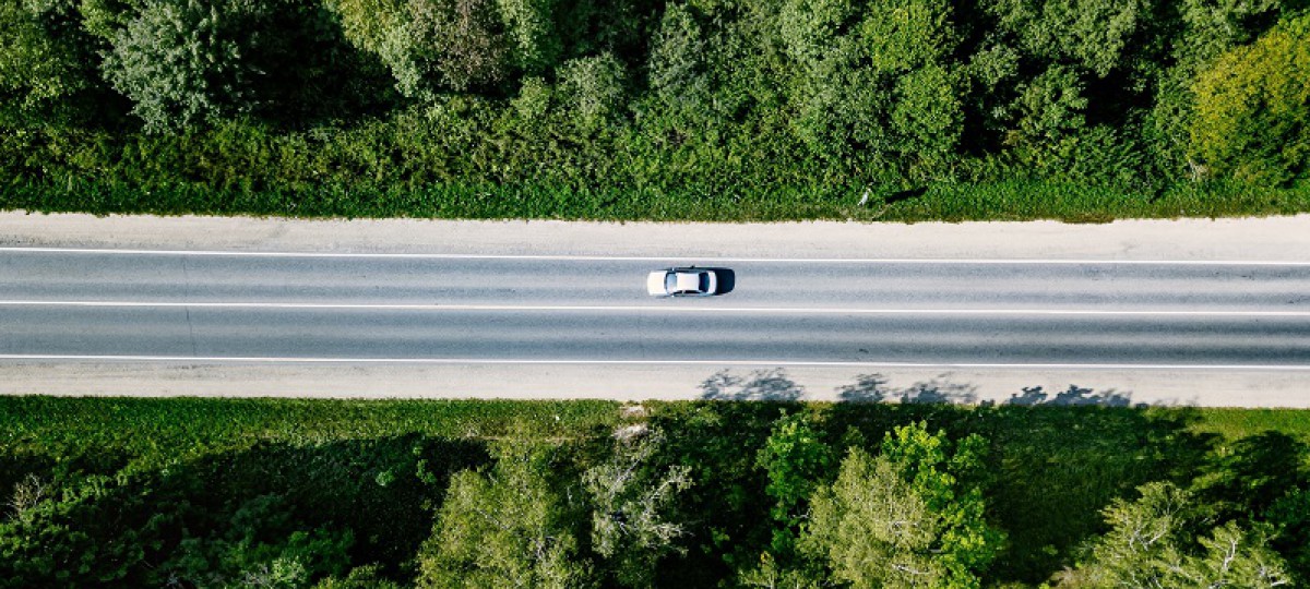 Une voiture roule au milieu d'une forêt